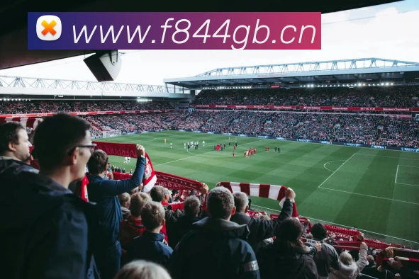 星空网最新地址品牌故事